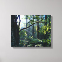 First Light Canvas Print