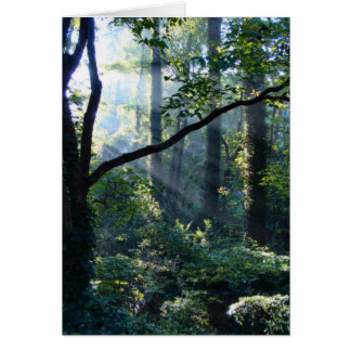 First Light Card
