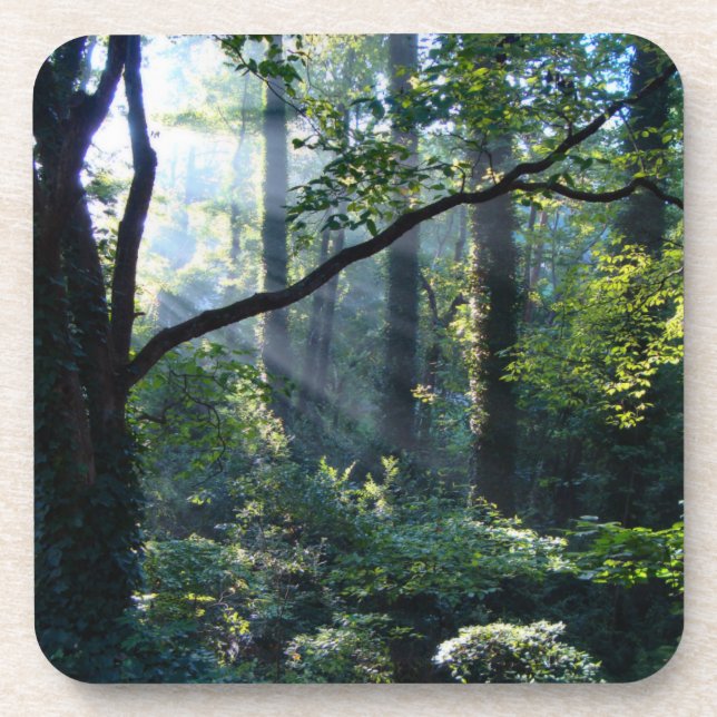 First Light Cork Coaster (Front)