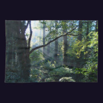First Light Kitchen Towel