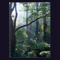 First Light Notebook