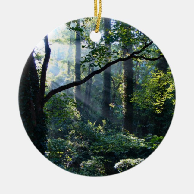 First Light Ornament (Front)