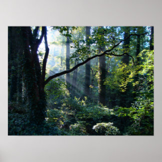 First Light Print