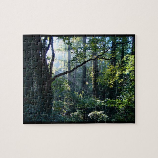 First Light Puzzle (Horizontal)