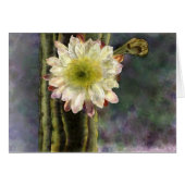 First Morning Light (Front Horizontal)