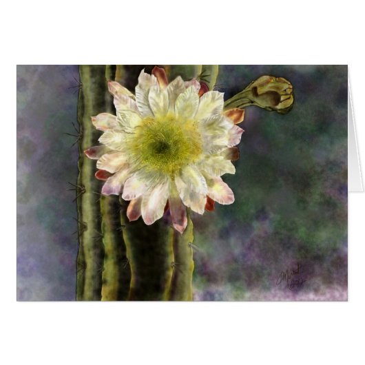 First Morning Light (Front Horizontal)