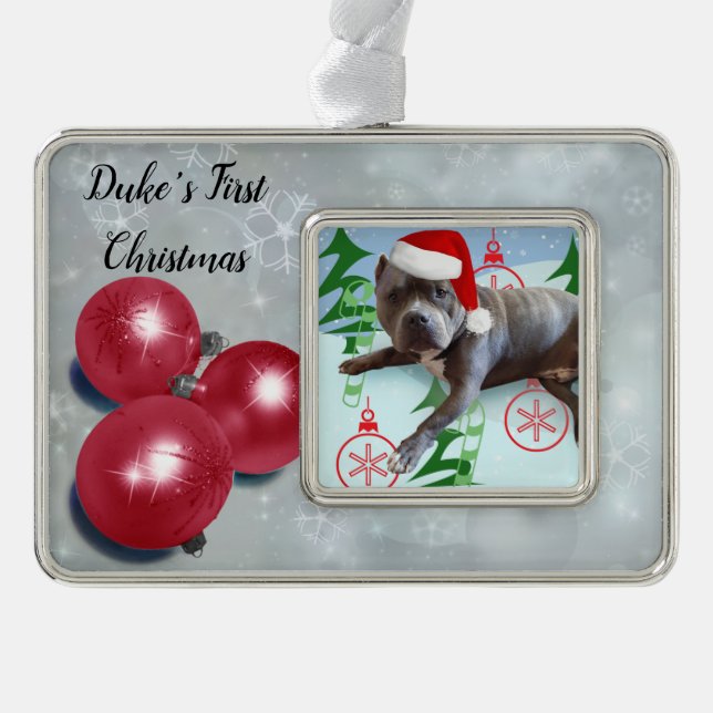 First Pet Christmas Christmas Ornament (Front)