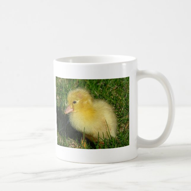 First Scovie of the Season Coffee Mug (Right)