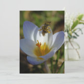 First Signs of Spring (Standing Front)