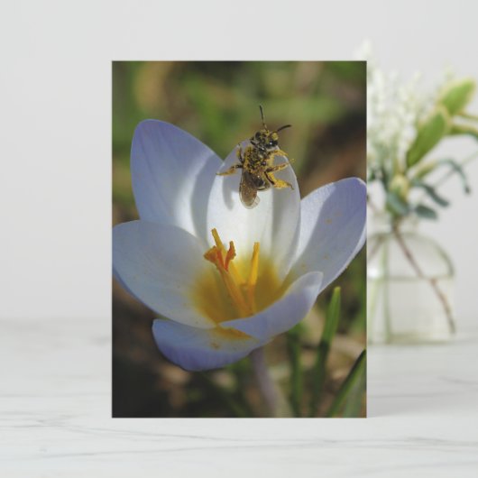 First Signs of Spring (Standing Front)