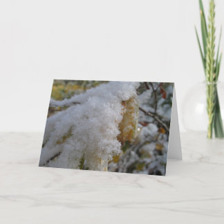 First Snow Holiday Card