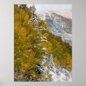 First Snow Poster by bluerabbit at Zazzle