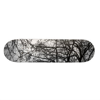first snow skateboard deck