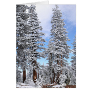 First Snowfall Cards