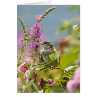 First Spring Cards