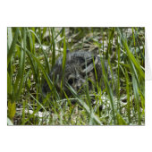 FIRST TIME OUT (Front Horizontal)