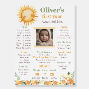 First Trip Around the Sun Birthday Milestone Foam Board