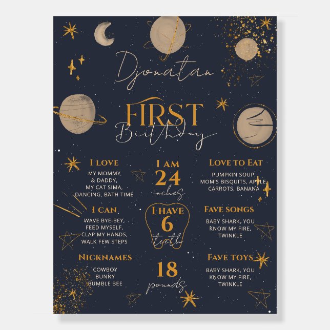 First Trip Around The Sun Birthday Milestones Sign (Front)