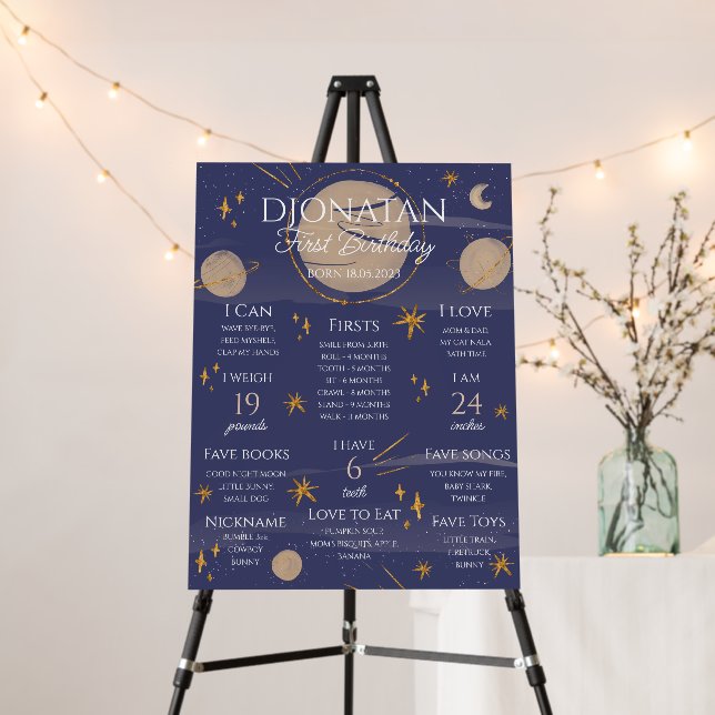 First Trip Around The Sun Birthday Milestones Sign (In Situ (Stand))