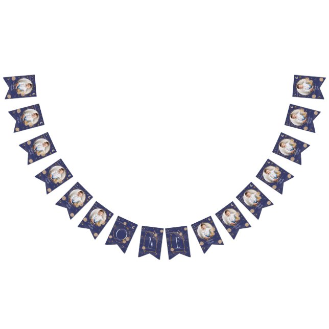 First Trip Around The Sun Monthly Photo Bunting Flags (All)