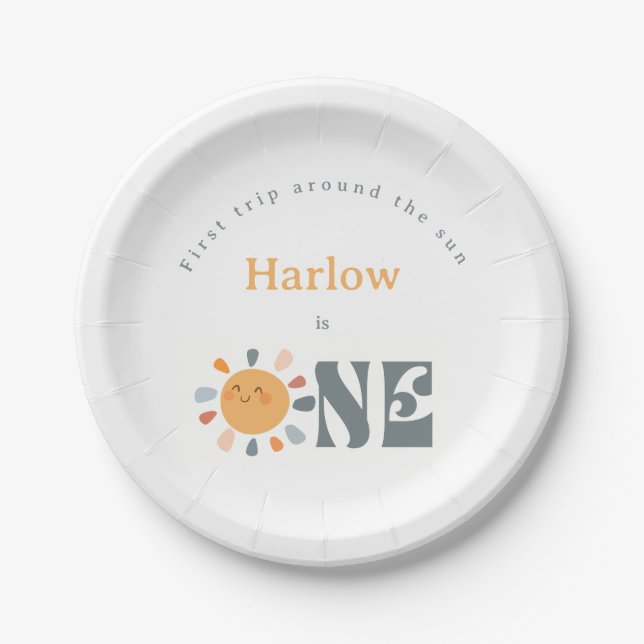 First trip around the sun paper plates (Front)