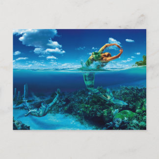 Fische - Postkarte Postcard