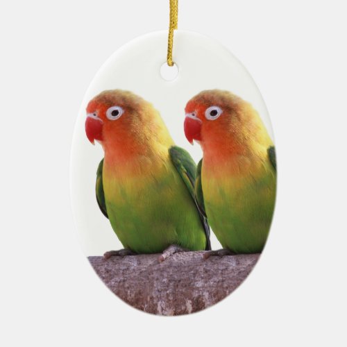 Fischers Lovebirdの優良製品 Ceramic Ornament