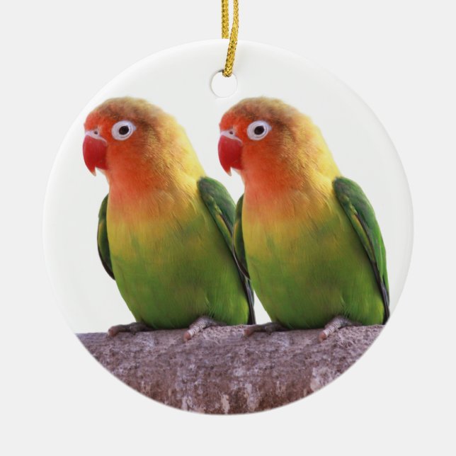 “Fischer's Lovebird” Ceramic Ornament (Front)