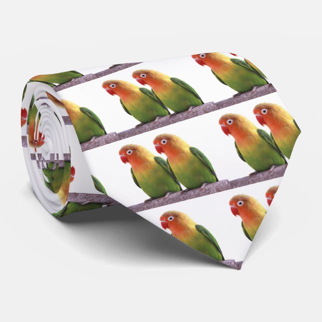 Fischer's Lovebird Neck Tie (Rolled)