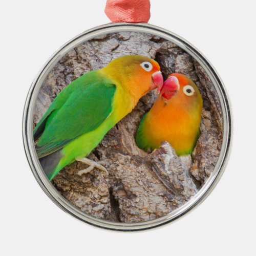 Fischers Lovebirds kissing Africa Metal Ornament