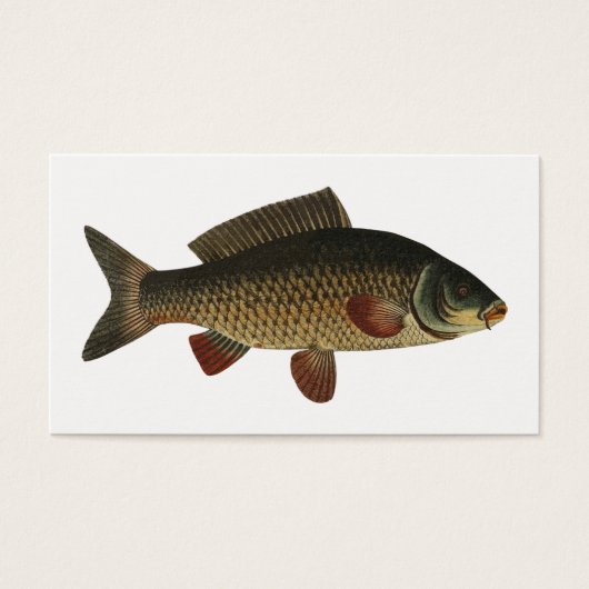 Fish (Front)