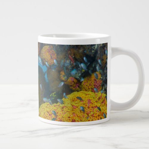 Fish Among Coral Reef Large Coffee Mug
