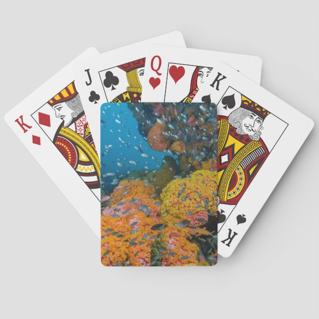 Fish Among Coral Reef Poker Cards (Back)