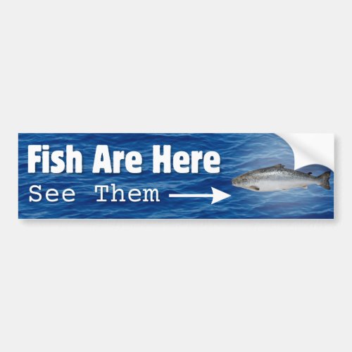 Fish Are Here Bumper Sticker