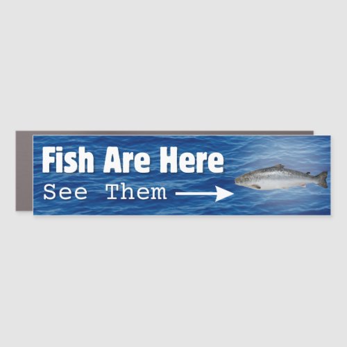 Fish Are Here Car Magnet