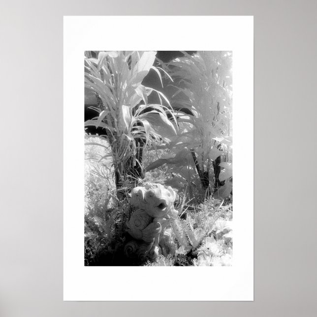 Fish at the Garden of Eden Poster (Front)