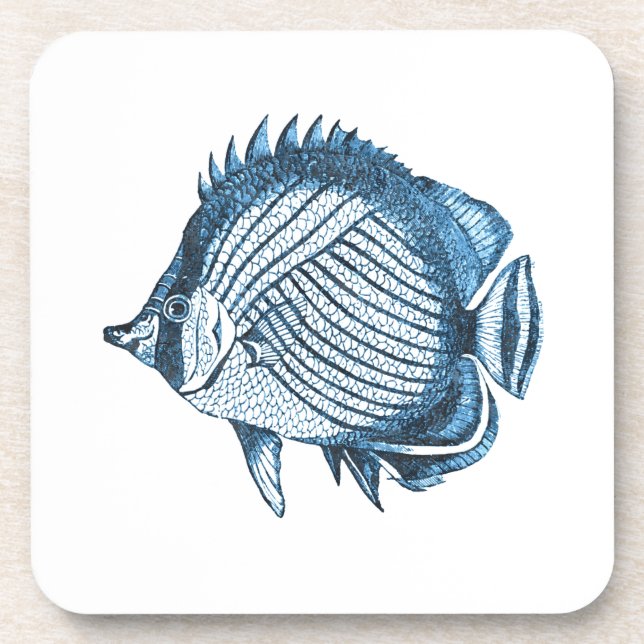 Fish beach nautical ocean coastal sea blue beverage coaster (Front)