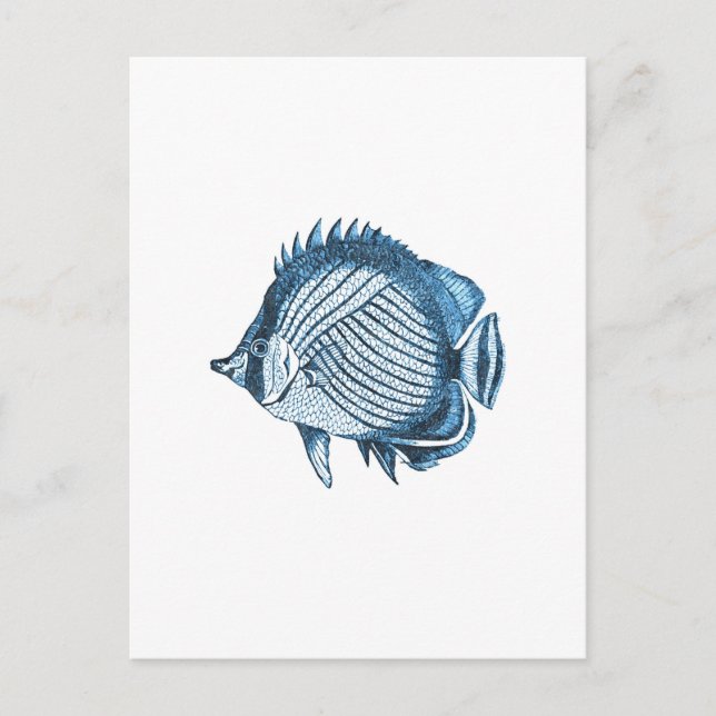 Fish beach nautical ocean coastal sea blue postcard (Front)