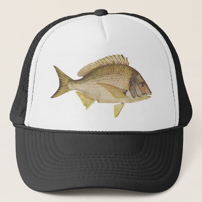 bream hat