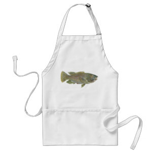 Fish - Blue Groper - Achoerodus gouldii Adult Apron
