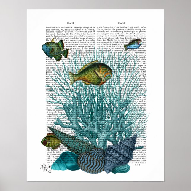 Fish, Blue Shells and Corals Poster (Front)