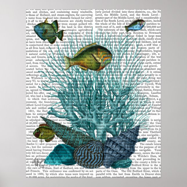 Fish Blue Shells and Corals Poster (Front)