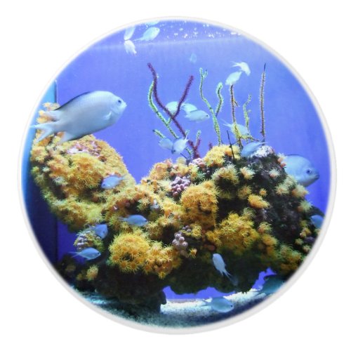 Fish Bowl Blue Fish Aquarium Ceramic Knob