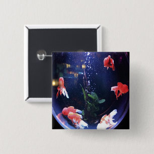 Fish bowl photo button