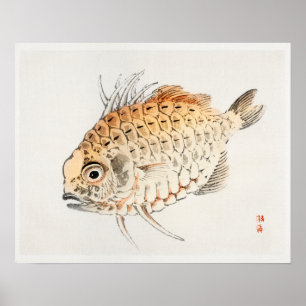 Fish by Kōno Bairei (1844-1895) Poster