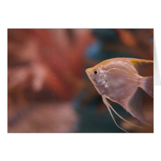 "fish" by Larry Coressel Cards