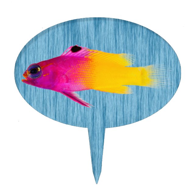 Fish Cake Topper (Front)