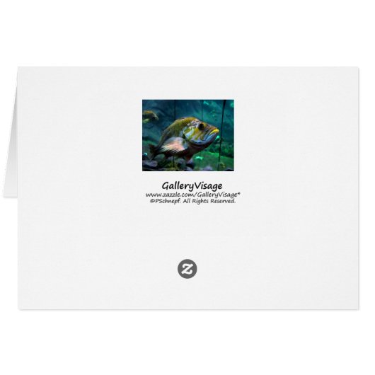 Fish Cards (Back Horizontal)