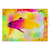 Fish Cards (Front Horizontal)