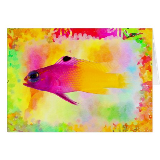 Fish Cards (Front Horizontal)